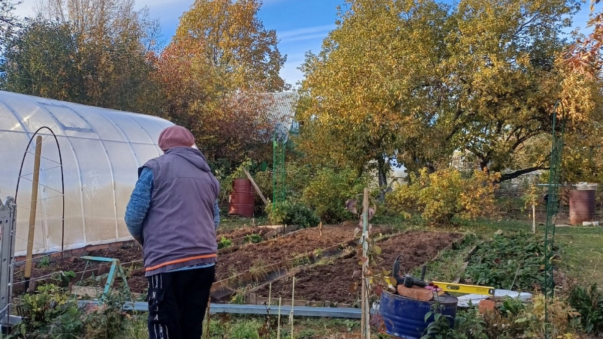 Не выбрасываю и не сжигаю - вот что делаю для дачи и огорода из пней и ящиков: 5 классных идей