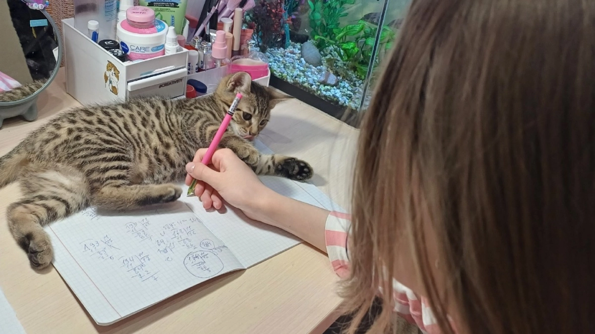 В младших классах пример решают за 30 секунд - а взрослые и за 5 минут не справляются: а вы сможете? 