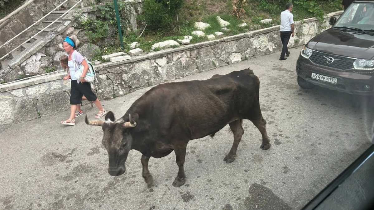 Даже если бесплатно предложат поехать - больше ни ногой: россиянка рассказала о самом отвратительном отдыхе в ее жизни