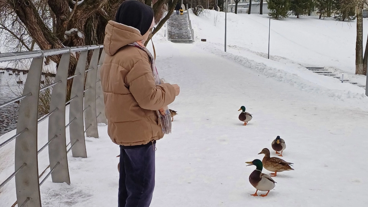 В Кировской области объявили новый сезон охоты на пернатую дичь