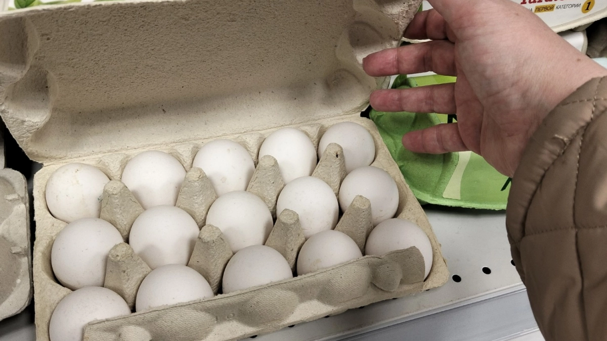 Не срок годности и не категория: вот куда нужно смотреть при покупке яиц - такие и со скидкой не берите 