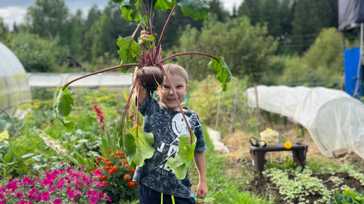 Свекла станет мягкой за 40 минут без воды и грязной посуды: метод, о котором мечтают все хозяйки