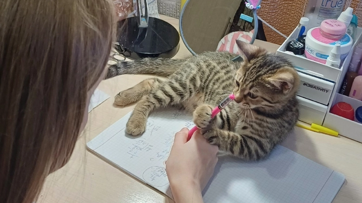 Вы не зря учились в школе, если сходу решите пример: управитесь за 1 минуту без калькулятора? 