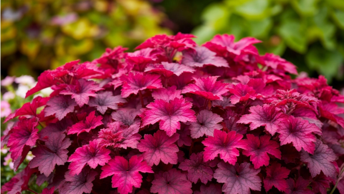 Посадил и забыл: 10 многолетников, которые превратят ваш участок в райский сад без ежегодных танцев с бубном