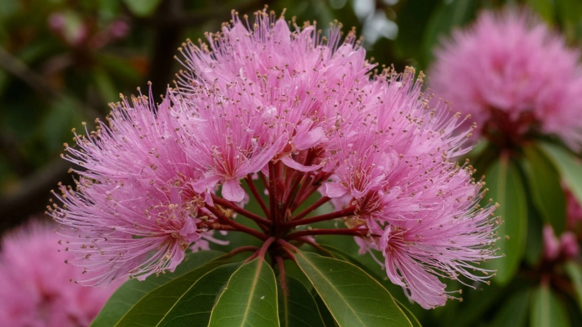 Сад для аристократов: 5 кустарников, которые стоит посадить один раз и навсегда - красота неописуемая 