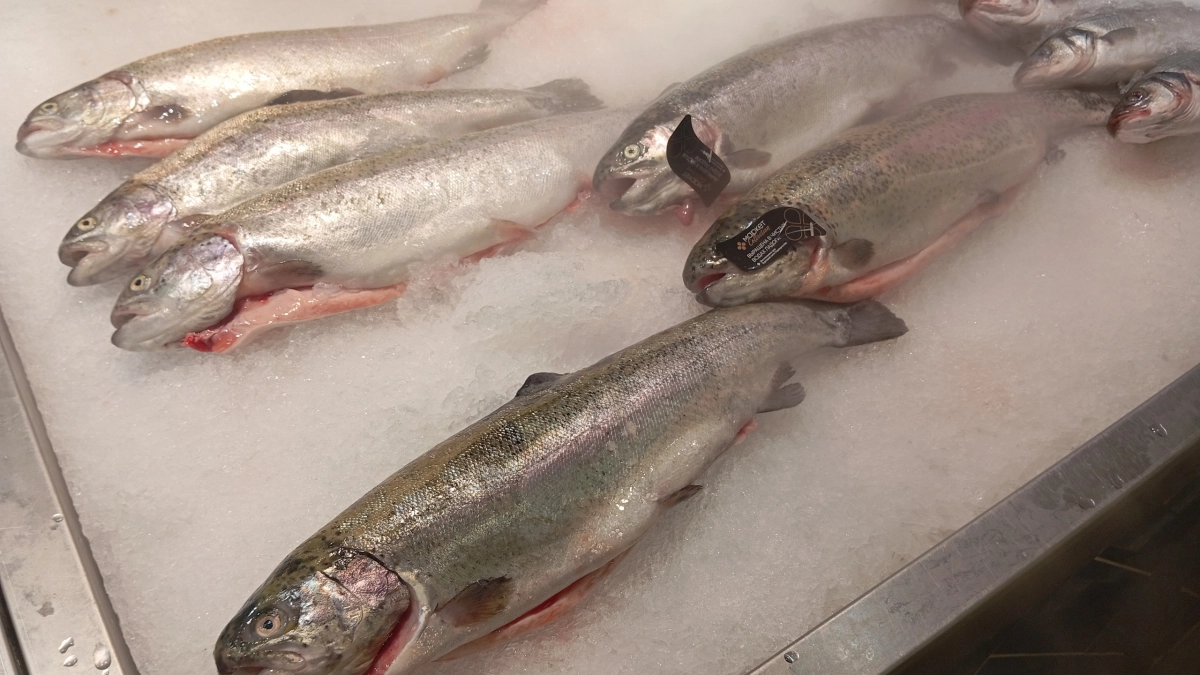 Ресторанный секрет: вот как надо жарить рыбу, чтобы она была сочной и нежной внутри. Идеальный кляр решает всё