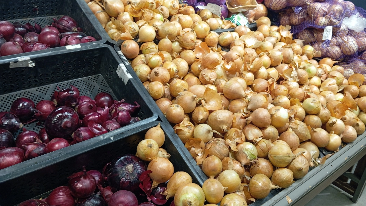 Сосед-агроном раскрыл глаза: оказывается, мелкий севок даёт головки вдвое крупнее, проверил — к августу по 200 граммов