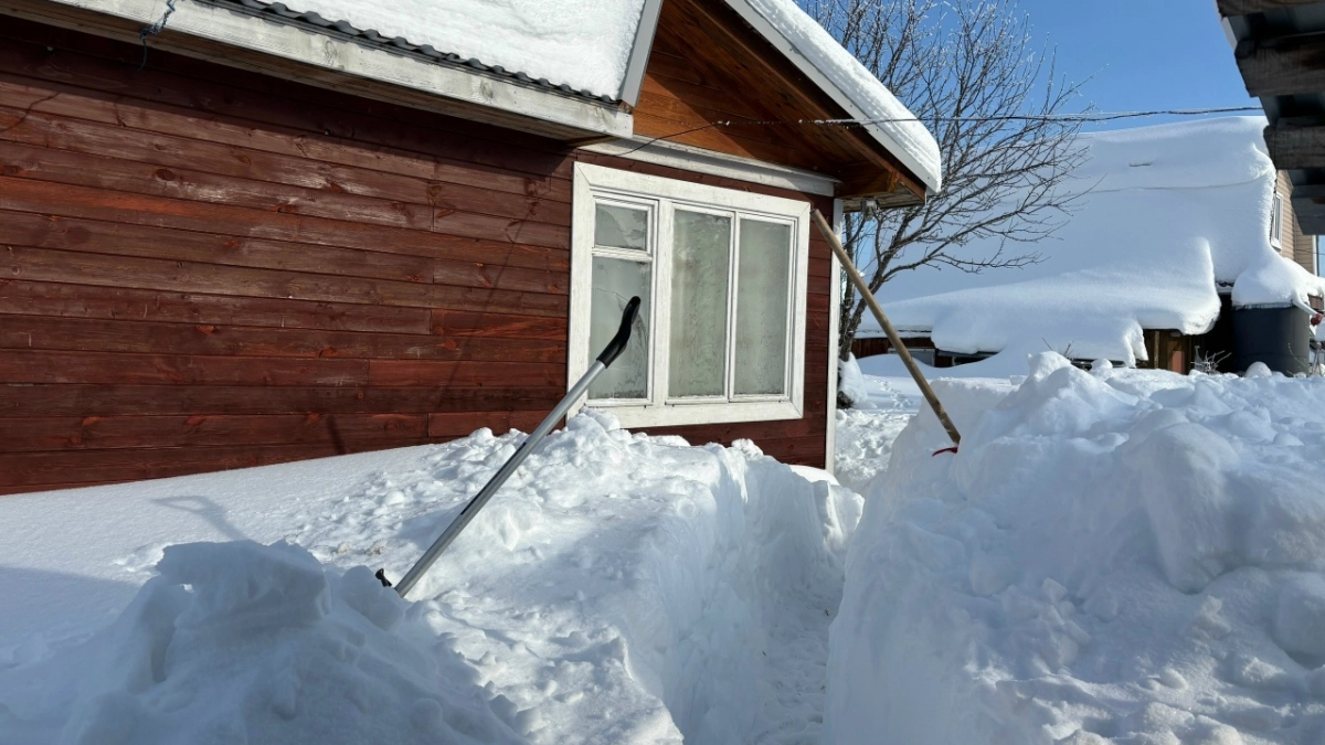 Зачем люди строят дома прямо у дороги, как в деревне? 7 основных причин, о которых вы не догадывались