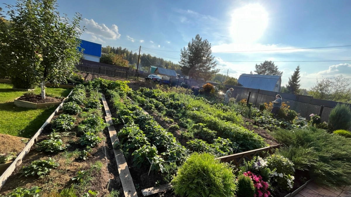 Рассказываю, куда можно лить копеечный раствор в марте, чтобы выжечь сорняки