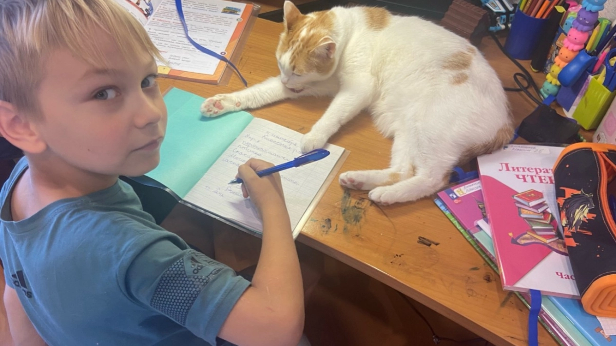 Даже отличники в пролете: пример, который не могут решить 9 из 10. А вы справитесь без калькулятора?