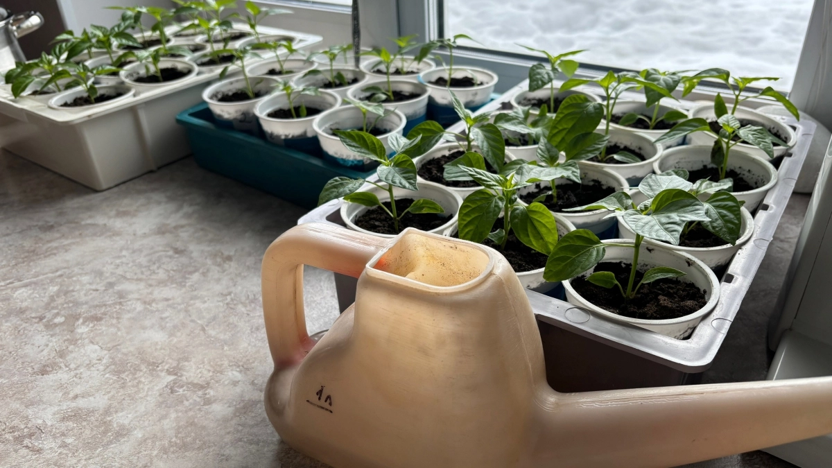 Забудьте про фитолампы и обогреватели: один простой метод делает подоконник теплее и светлее за копейки