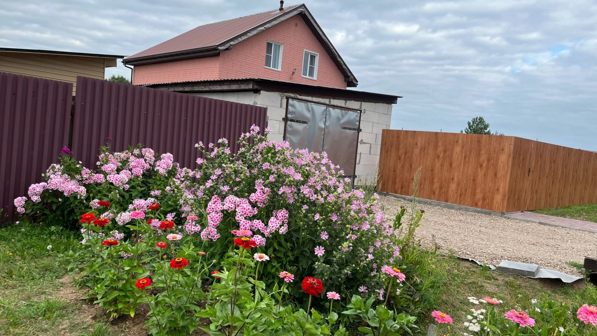 9 бюджетных цветов, которые преобразят участок за месяц: создаю цветущую дачу быстрорастущими растениями — от 30 рублей за пакетик
