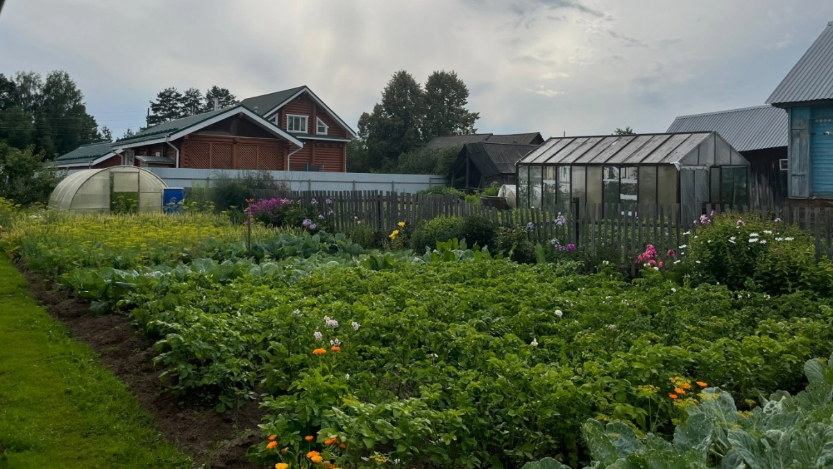Плитка и гравий ушли в прошлое: умные дачники нашла новый материал для дачных дорожек - служит годами и не трескается