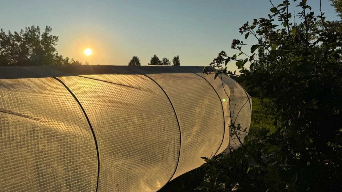 Сделал "вечные дорожки" на участке - и бед не знаю: теперь даже ливнем не размывает