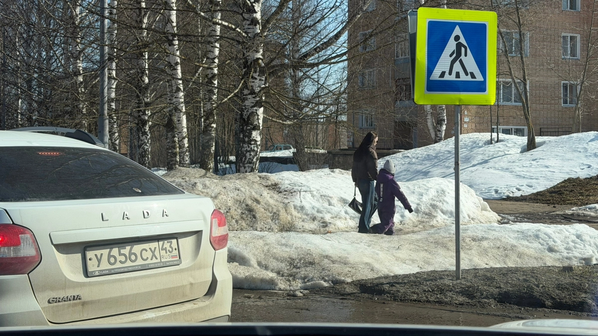 Сотрудники Госавтоинспекции снова усилили контроль за жителями Кирово-Чепецка
