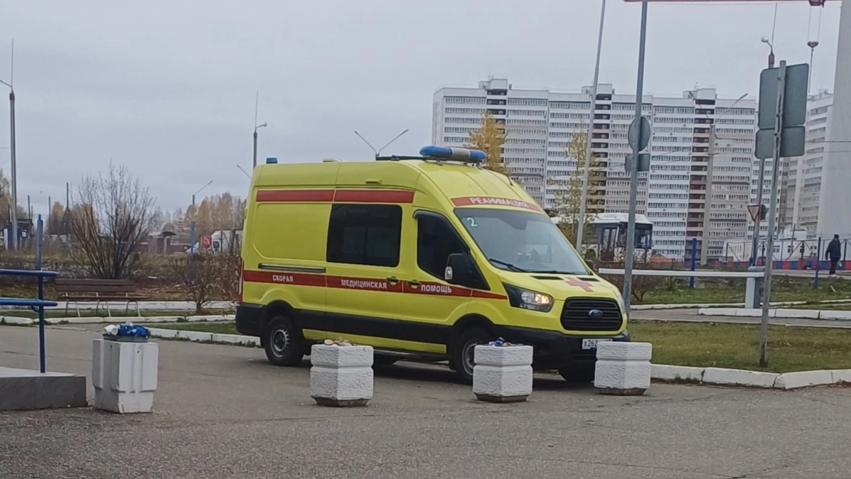 Юный кировчанин, укушенный пчелой, по суду получит компенсацию от хозяина пасеки