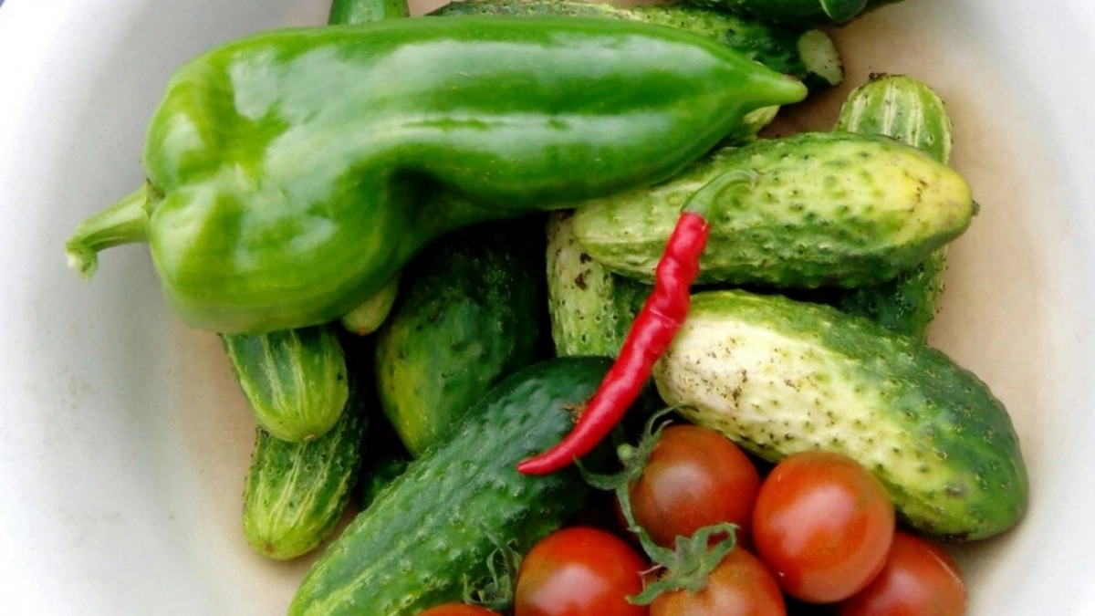 Почему нельзя раздавать огурцы с грядки просто так - запомните раз и навсегда