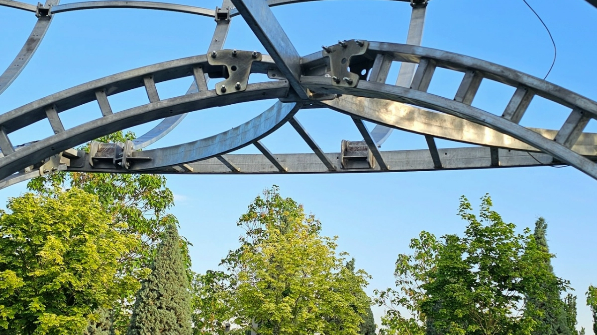 Мичурин строго запрещал эти 6 деревьев: они высасывают всю силу из почвы, рушат фундамент и губят урожай