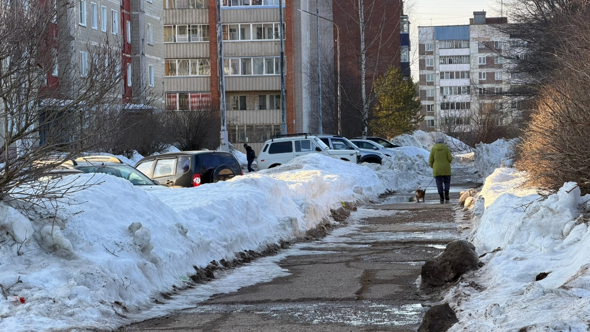 Стало известно, в какой день Кировскую область накроет пик рекордного потепления