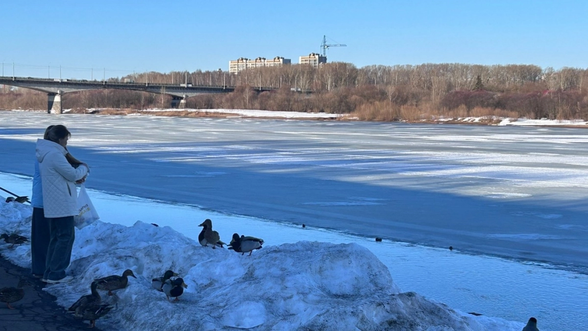 Нереальная удача на 7 лет вперед: астрологи назвали 2 знака, кому будет везти вплоть до 2032 года