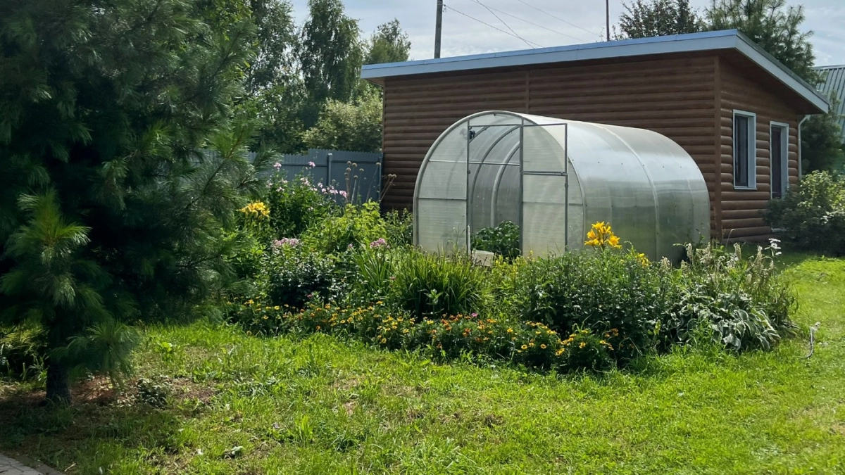 Перестала выбрасывать картон - узнала, как применить на участке: 5 гениальных идей