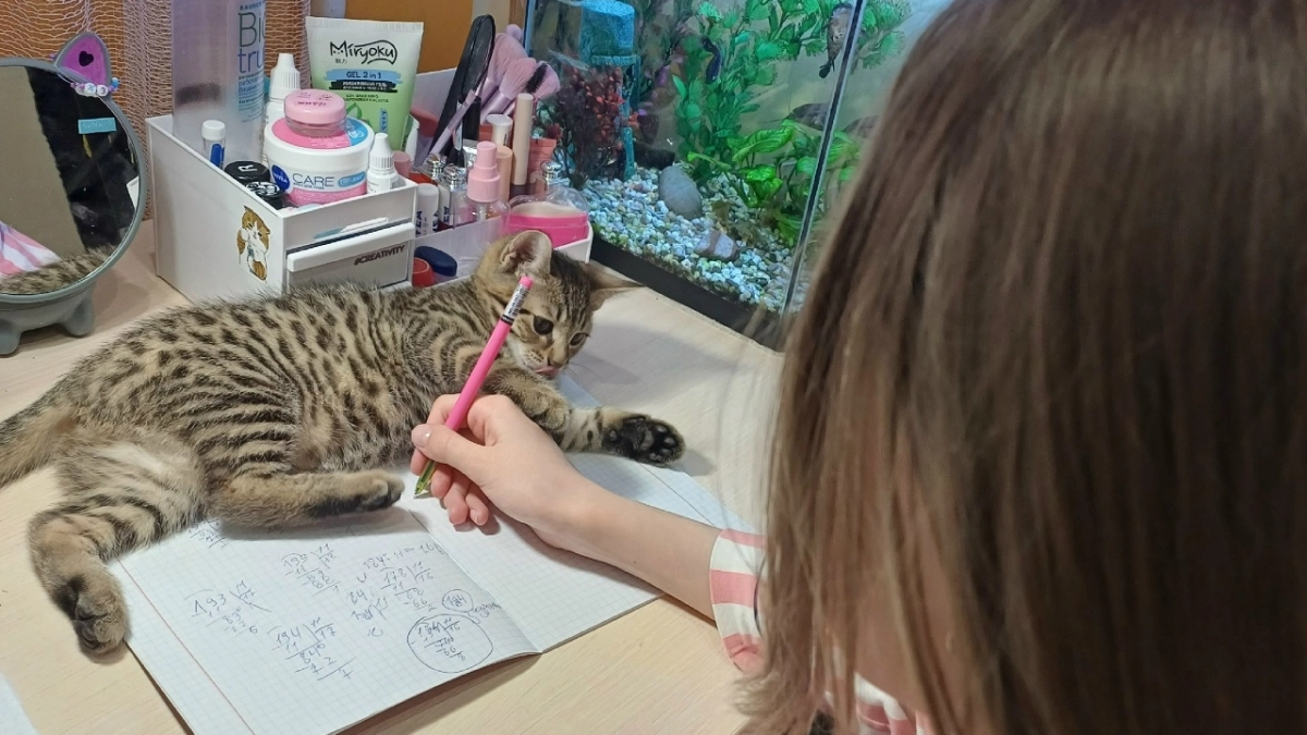 Это русское слово пишут с ошибками даже преподаватели, хотя видят его каждый день. Объясняю правило, которое все забыли