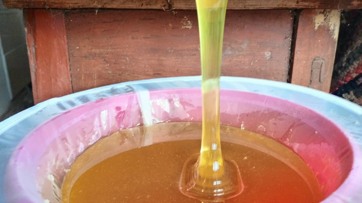 Как разоблачить фальшивый мёд за 30 секунд: простой тест, который работает всегда