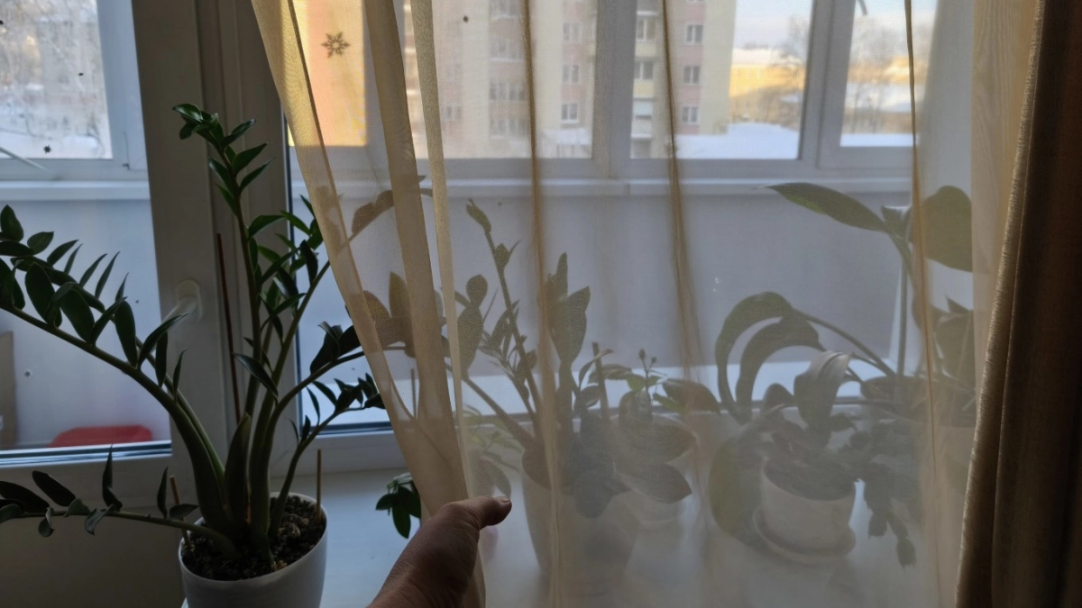 Шведам запретили вешать шторы - и вот почему: странная причина, но логика в ней есть 