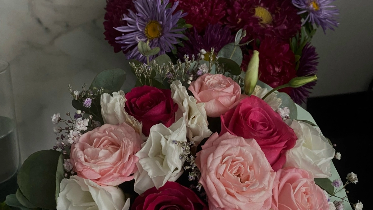 Всего 45 дней — и пустой участок превращается в цветущий рай: 9 бюджетных растений, которые не подведут