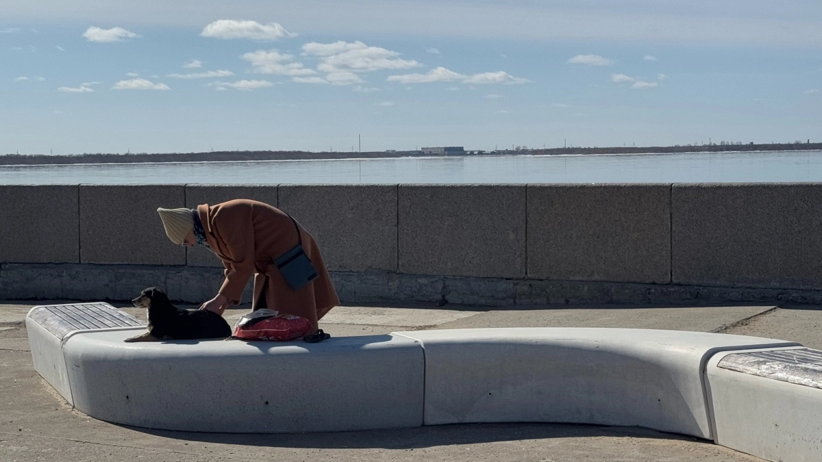 Почему у человека мало друзей: мудрость Сократа, актуальная в наши дни — она объясняет многое в нашей жизни