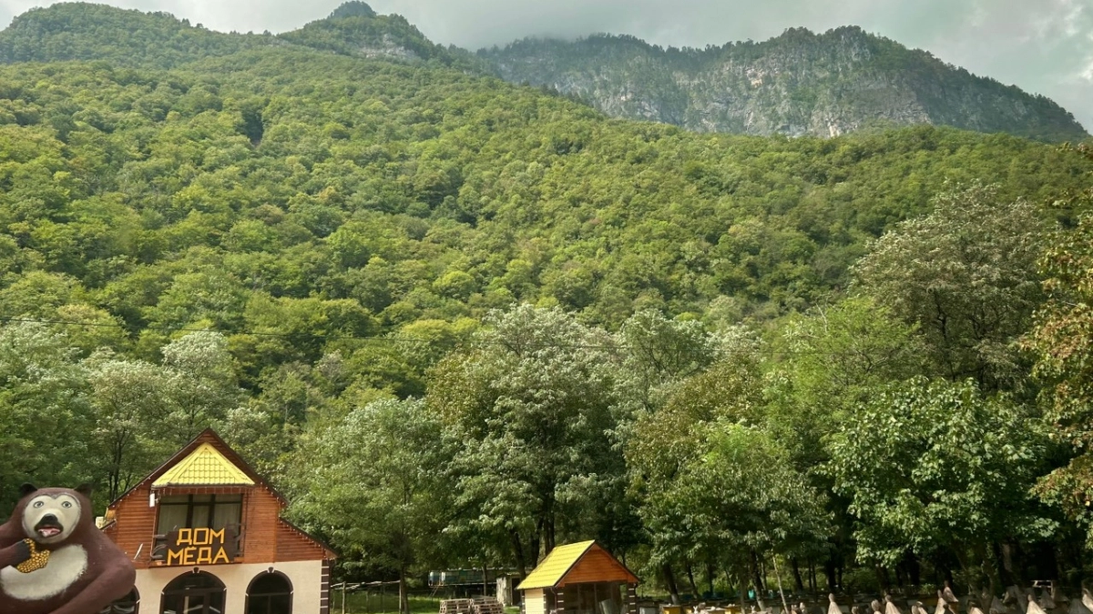 Попрошайки и разруха: туристы съездили в Абхазию и ужаснулись - вот что ждет на популярном курорте