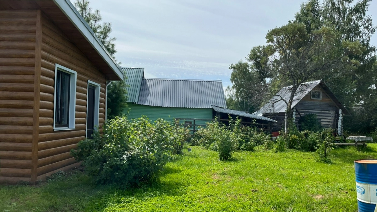 Никогда не сажайте на участке: 13 деревьев, которые принесут беды и проблемы - запомните раз и на всю жизнь