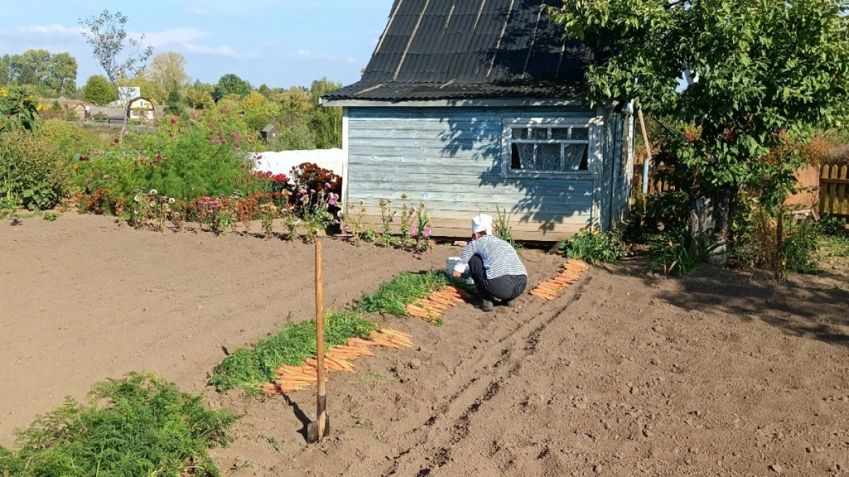 Кузнец показал, как точить лопаты, чтобы они не тупились годами: правим садовый инвентарь по ГОСТам