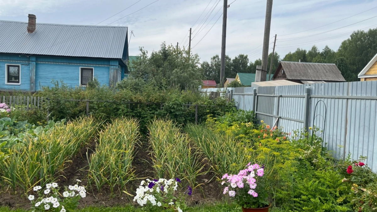 Их сажать нельзя - обернется проблемами: 6 цветов и растений, которым не место в наших садах