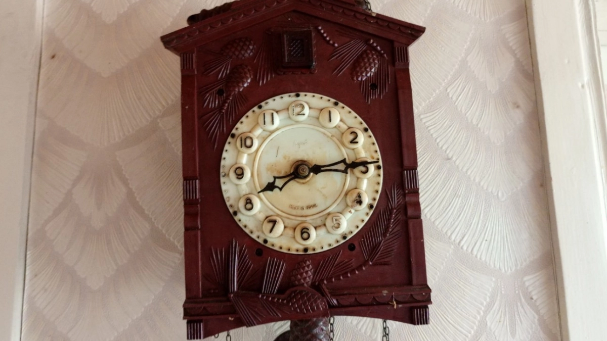 Почему человек просыпается между 3 и 5 утра? Оказывается, это не просто так