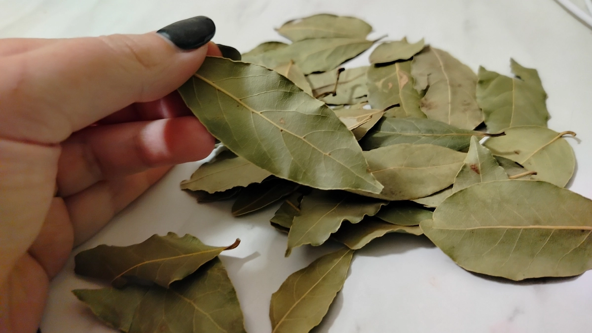 Зачем советские хозяйки клали в сахар лавровый лист: очень полезная хитрость, о которой почти никто не знает