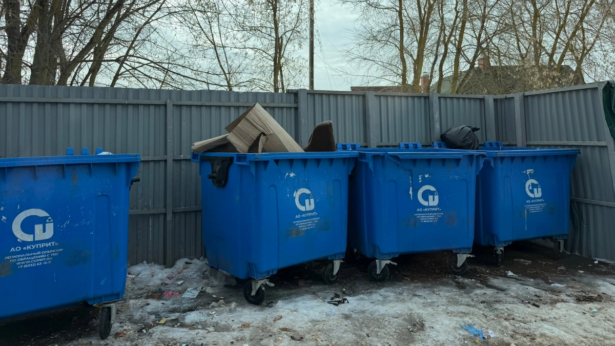 Жители Кирово-Чепецкого района страдают от переполненных мусорных контейнеров