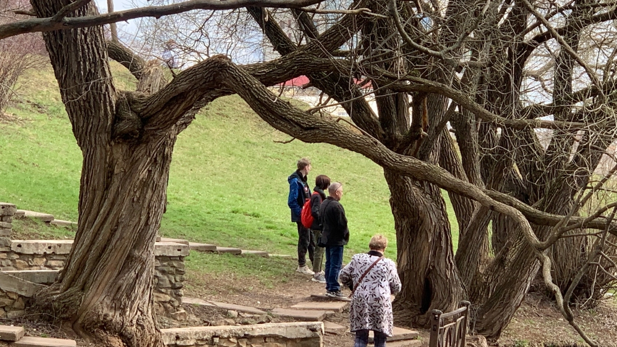 Даты рождения людей с самой мощной внутренней силой - проверьте себя и близких