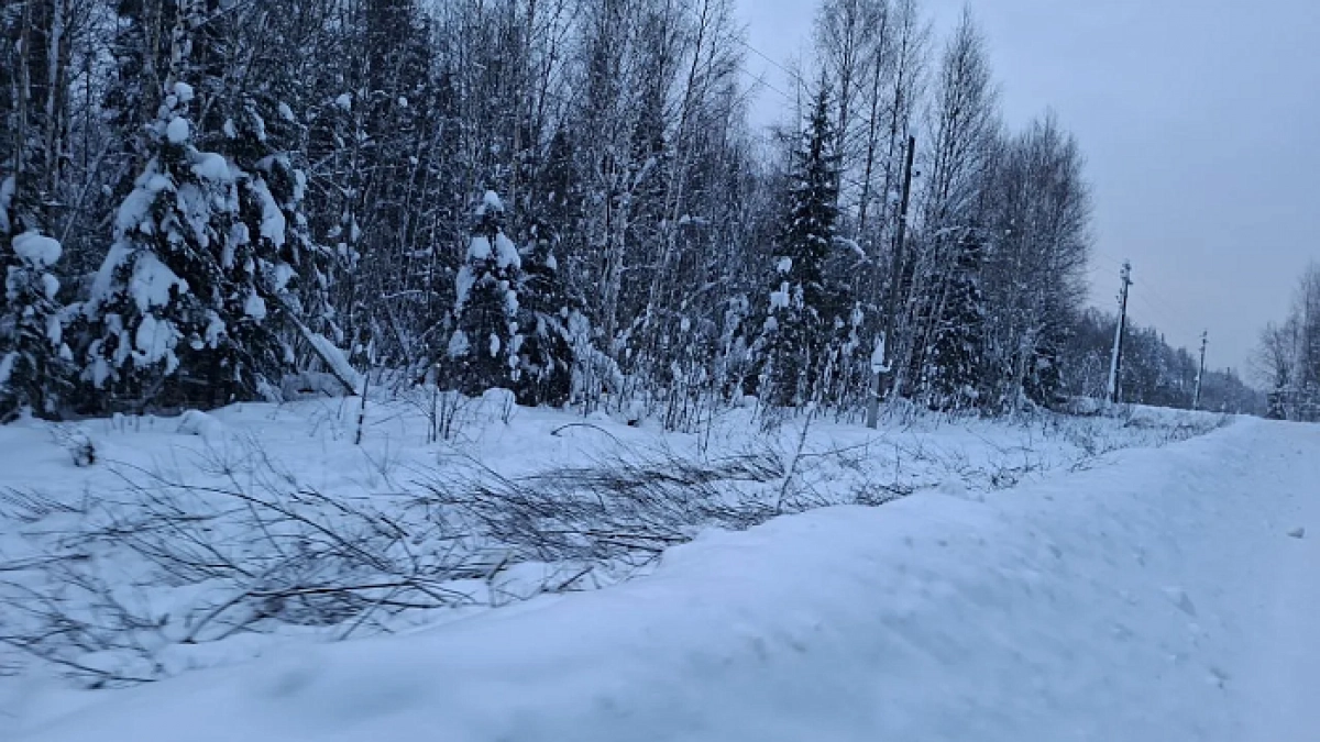 Под Подосиновцем готовятся к строительству нового участка трассы на северо-запад