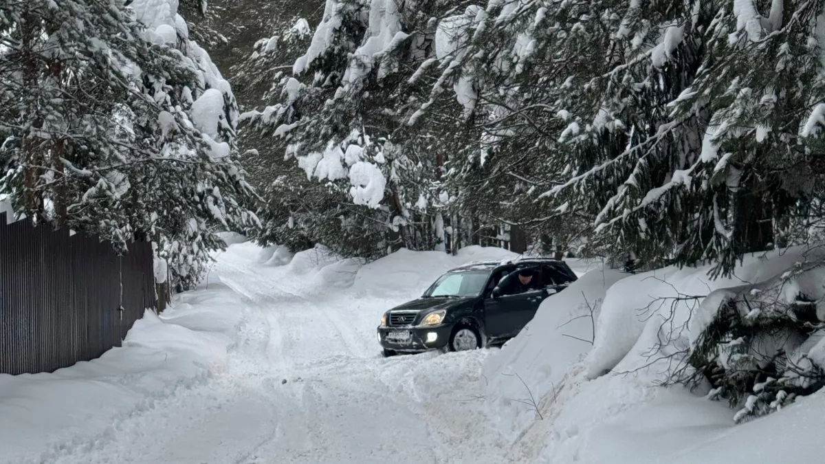 В Кирово-Чепецком районе мужчина застрелил кабана и стал фигурантом дела