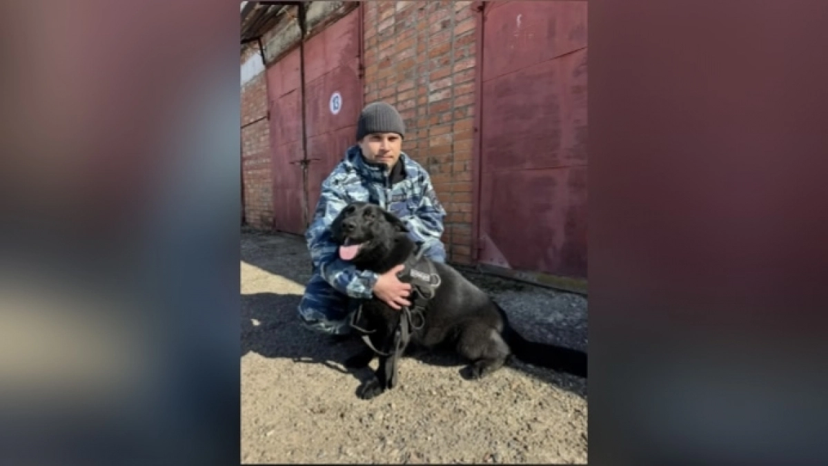 В Кирово-Чепецком районе собака Фаля раскрыла пятое преступление за три месяца