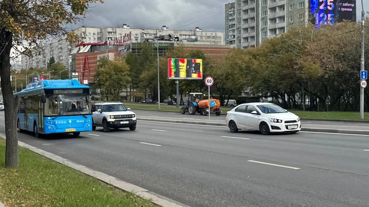 Накажут ли водителя за управление машиной с госномером без триколора - в ГИБДД поставили точку