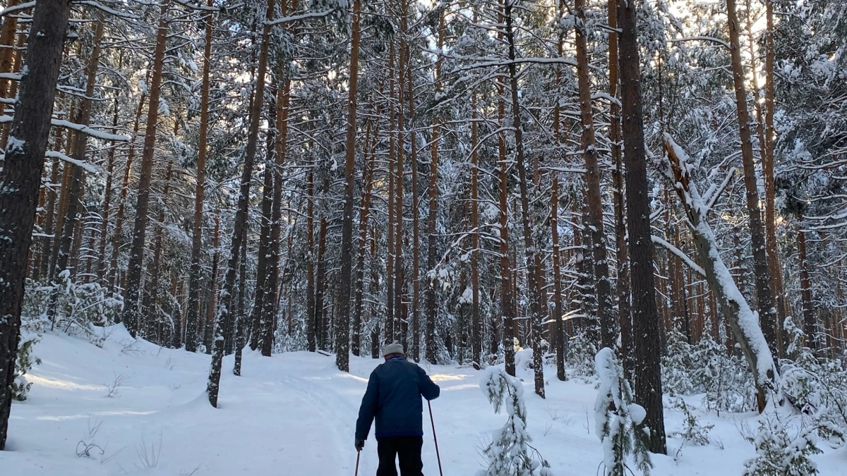Кировская область отправила 5 тысяч пиломатериалов лиственных пород во Вьетнам