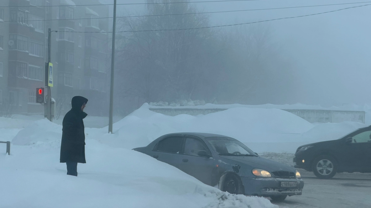 Жителей Кировской области предупредили о дождях со снегом и тумане
