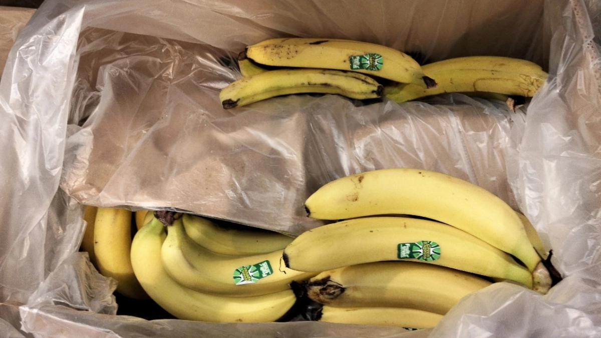 Обматывают бананы бумагой и ждут чуда - проверила популярный лайфхак и вот что вышло: делюсь результатом 