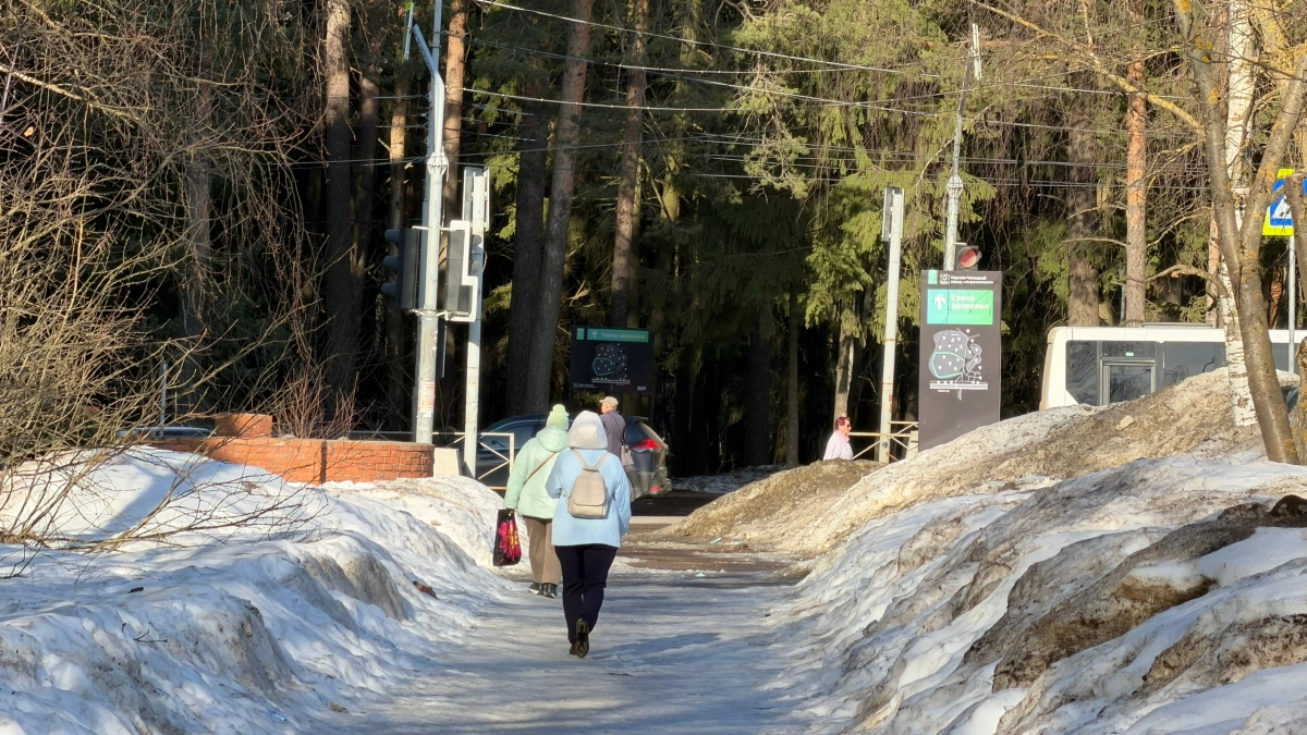 5 черт характера, которыми обладают только сильные люди: запомните эти мудрые мысли Фрейда раз и на всю жизнь