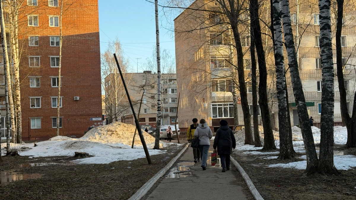 Жители Кировской области за неделю подарили мошенникам почти 20 миллионов рублей