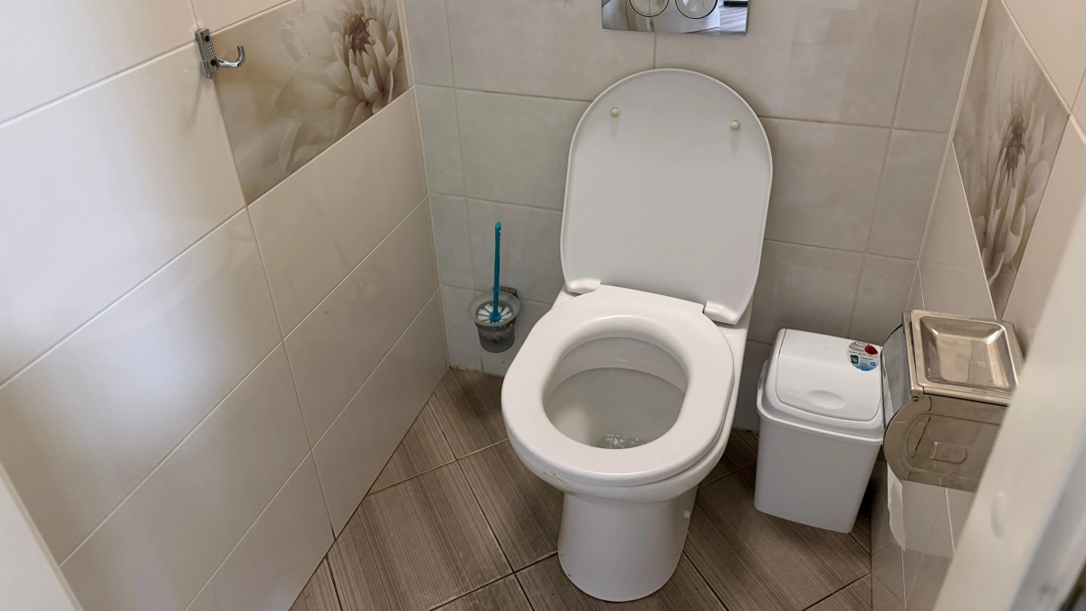 Перестала покупать освежители в туалет: нашла способ, который реально убирает запах - теперь там свежо словно в лесу