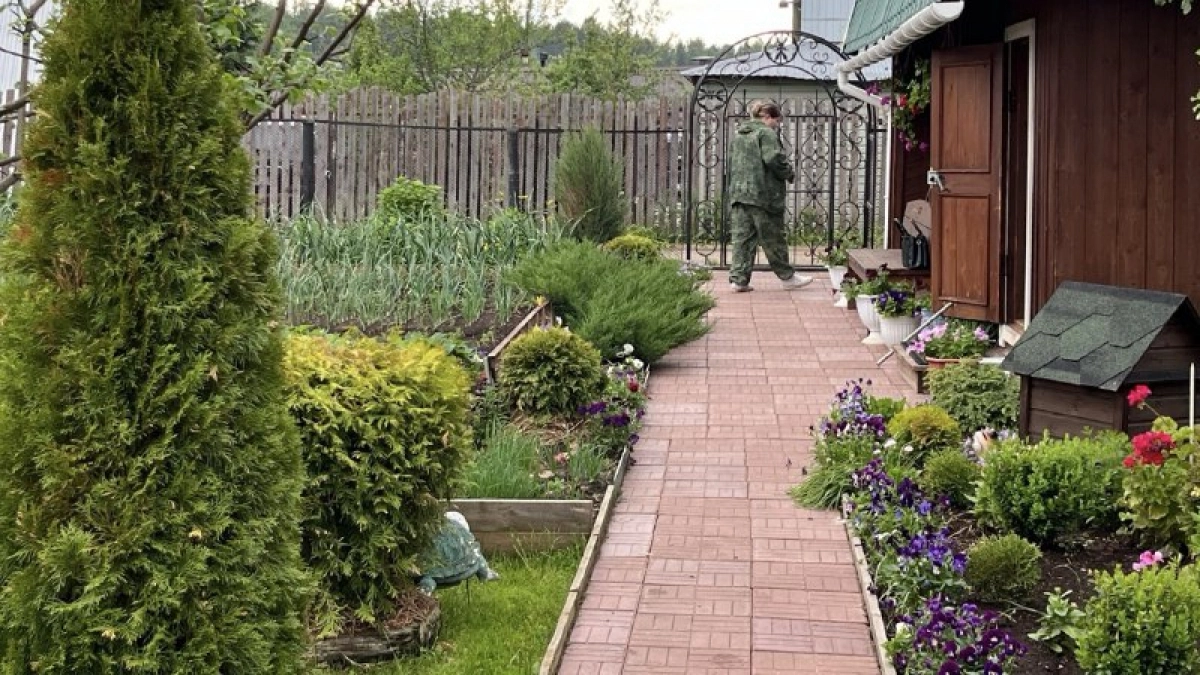 Лучшие бордюрные цветы: 20 красивых многолетников для бордюров, которым потребуется минимум вашего внимания