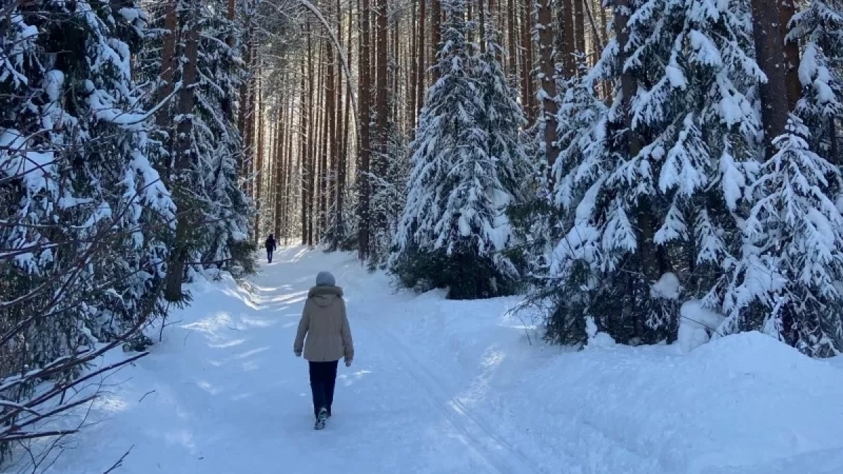 Кировская область поставила в Узбекистан 17 тысяч кубометров пиломатериалов